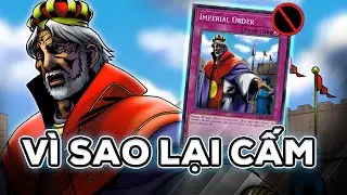 LÁ BÀI NÀY KHIẾN BÀI PHÉP KHÔNG CÒN ĐÁNG SỢ | Yu-Gi-Oh! Việt Nam