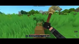 Hytale   02