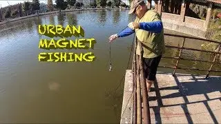 Urban Magnet Fishing at Lincoln Park | Los Angeles