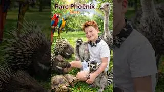 Tour of French Zoo with crazy animals! - Nice, France
