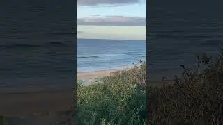 Monday 24th June - surf check #noosa #surfingaustralia  #surfcheck  #surf #waves