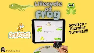 Life Cycle of a Frog | Scratch & micro:bit | STEM activity