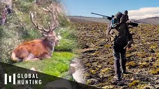 South Island Stag | Element Global Hunting, Episode 5