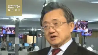 Liu Zhenmin: Paris deal launches low carbon development