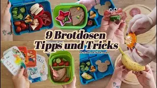 9 Brotdosen Tipps und Tricks - für strahlende Kinderaugen