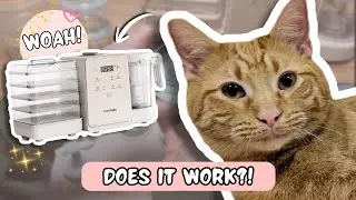 Я приготовила домашние лакомства для кошек с помощью TopTrees Pet Treat Maker | Полный обзор + Ре...