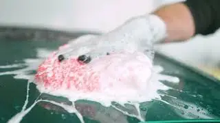 Gtechniq Decontamination Washing Process