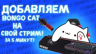 💙Как добавить bongo cat на стрим! / ГАЙД