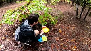 Reedy Creek Disc Golf Round