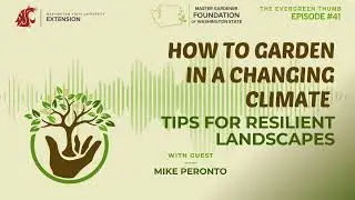 Gardening In A Changing Climate: Tips For Resilient Landscapes