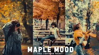 Maple Mood Lightroom Mobile preset | Lightroom DNG preset | Autumn Cinematic