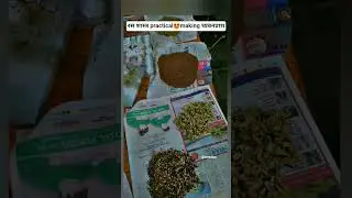 Making chyawanprash in ras shastra practical 🤩❤️&zwj;🩹 #bams #collegelife #shorts #viralvideo