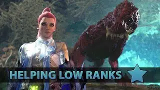 Helping Low Rank Players - Odogaron - Monster Hunter World (4K)