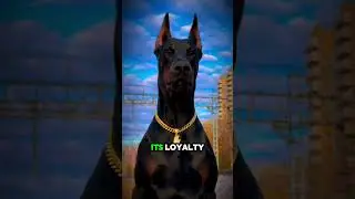 Top 3 Most Loyal Dangerous Dog Breeds That Will Risk Their Lives for You!