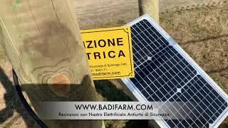 Recinto per cavalli con Nastro Elettrificato Antiurto di Sicurezza garanzia 10 anni