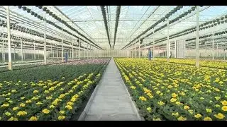 ErfGoedFloor&reg; means savings: recoup your investment quickly