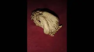 Alien skull 