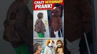 Vet Staff Pranked a Granny 😂(@gaillardremi IG)