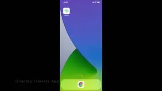 Litentry Governance App