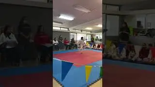 Kofujado karate forms h3