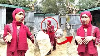 হিজরা হয়ে পপকন বিক্রি করে বেঁচে থাকার লড়াই | Real Life Story Bangladesh । Paisa tv