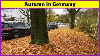 ஜெர்மனியில் இலையுதிர் காலம் | Autumn in Germany  | TMTN | MyJDRR
