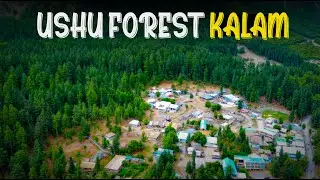 Ushu Forest Kalam 2024 || Ushu jungle || Drone View of ushu forest
