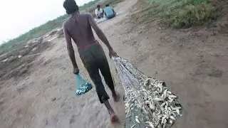 Amazing Catch Fish With Net fishing - Kadal Tv