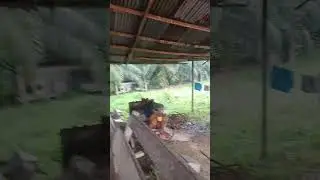 kehujan di baskem BMP hpi Agro