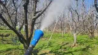 Importance of #HMO spray in our Apple Orchards they Target pests red mite sanjo scale... Subscribe