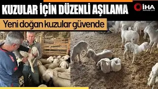 Soğuk havalarda gerçekleşen doğumun ardından üreticilerin yüzü güldü