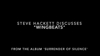 Steve Hackett Track Chat - 