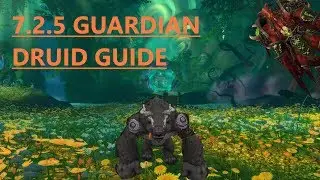 7.2.5 GUARDIAN DRUID GUIDE!!! *OUT DATED, CHECK DESCRIPTION*