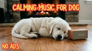 Dog Relaxation & Anxiety Relief Music 🐾 12 Hours | No Ads