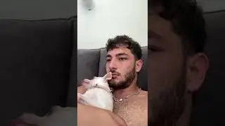 #dog #pets #pitbull #animals #funny #duckface #cat #spiderman #monkeygirl #memes