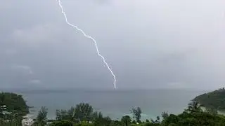 This One Fact About Lightning and Fish Blew My Mind 💀
