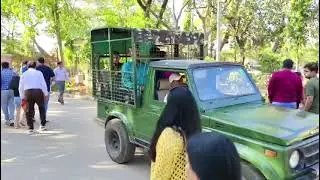 Gir National Park Gujarat 