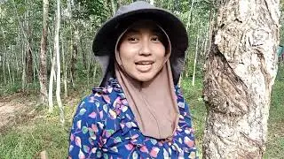 Waktu Kecil Dia Hidup Di Way Kanan Lampung Reg.44 #shortvideo #viralvideo #waykanan
