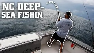 Deep-Sea Fishin' | North Carolina