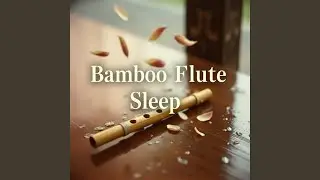 Quiet Bamboo Forest