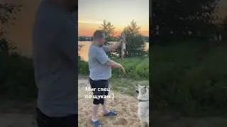 Миг специалист по щукам #мигпёс #новоеархангельское