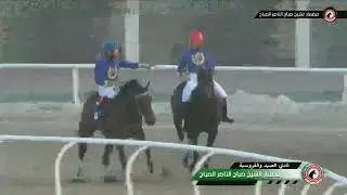 بث مباشر مضمار الشيخ صباح الناصر الصباح - الاجتماع (16)
