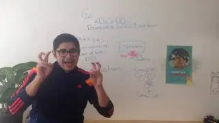 &iquest;Qu&eacute; son los ataques DDOS?