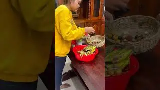 Adorable monkey feels calm living in cozy human shelter ���� #MonkeyHappiness #LifeTogether