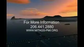MITAGS | Brazil Pilot Training by MITAGS-PMI