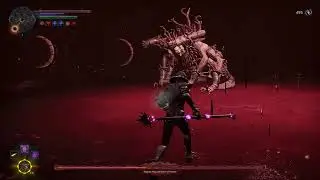 Hellpoint - Ozyormy Goija, no hit/dmg  (PS5)