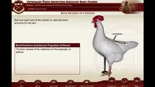 U.S. Army- Distributed Learning Education and Training Program (dLETP) Courseware
