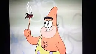 Spongegar, Patar, and Squog knows how to cook then having a feast
