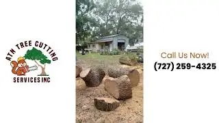 FLORIDA&rsquo;S RESIDENTIAL & COMMERCIAL TREE CUTTING SERVICES