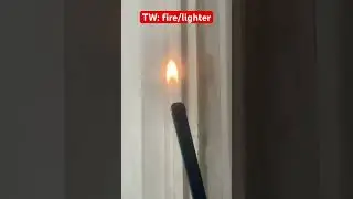 Fire fire fire 🔥 🔥🔥 flame #music #cover #artist #coversong #song #funny #foxtherian #cute